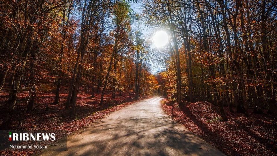 طبیعت مازندران در پاییز هزار رنگ