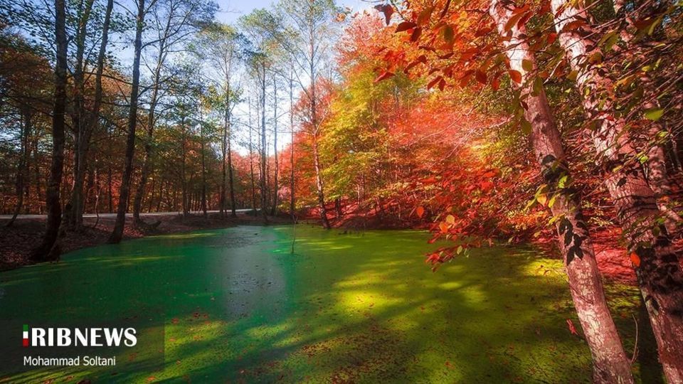 طبیعت مازندران در پاییز هزار رنگ