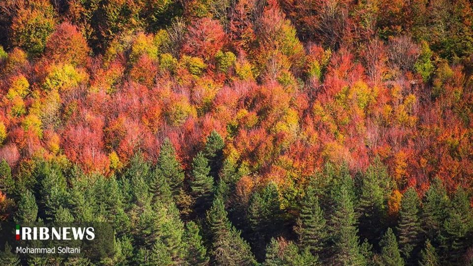 طبیعت مازندران در پاییز هزار رنگ