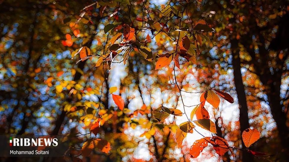 طبیعت مازندران در پاییز هزار رنگ