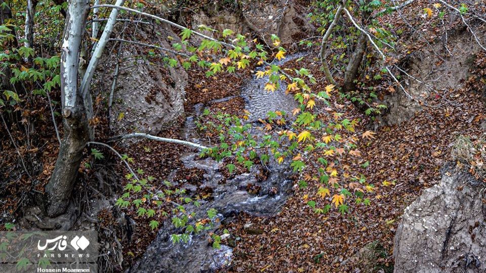 پاییزِ بجنورد