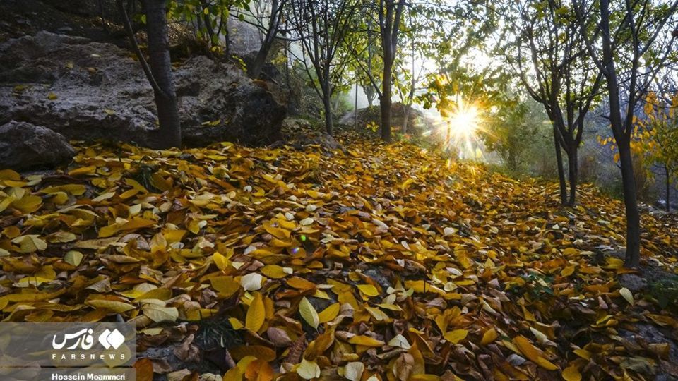 پاییزِ بجنورد