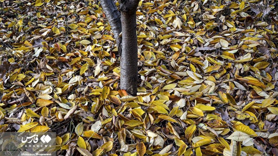 پاییزِ بجنورد