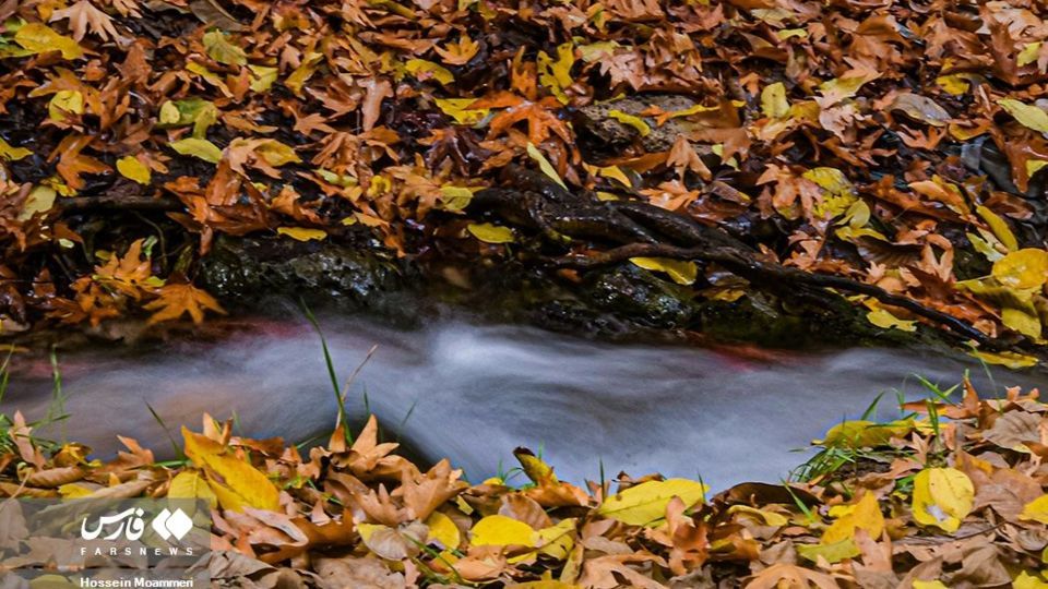 پاییزِ بجنورد