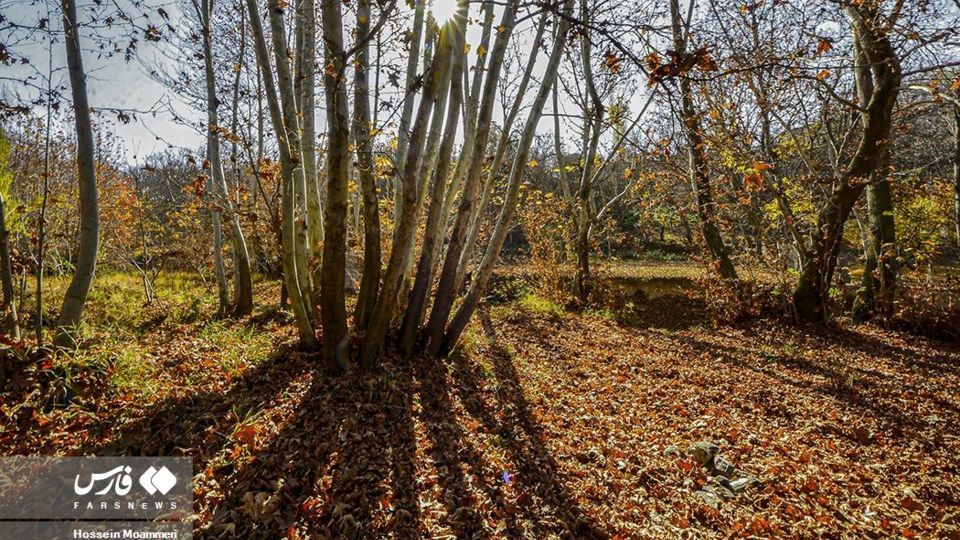 پاییزِ بجنورد