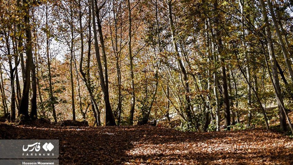 پاییزِ بجنورد