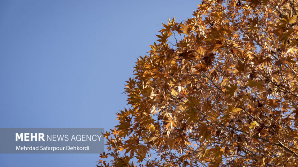 طبیعت پاییزی زاینده رود