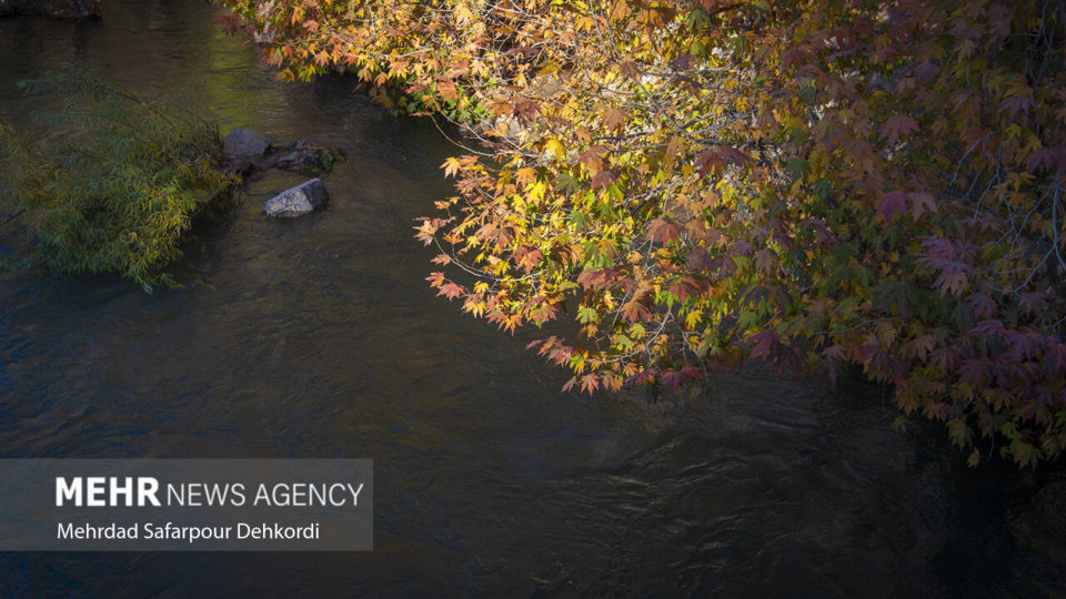 طبیعت پاییزی زاینده رود
