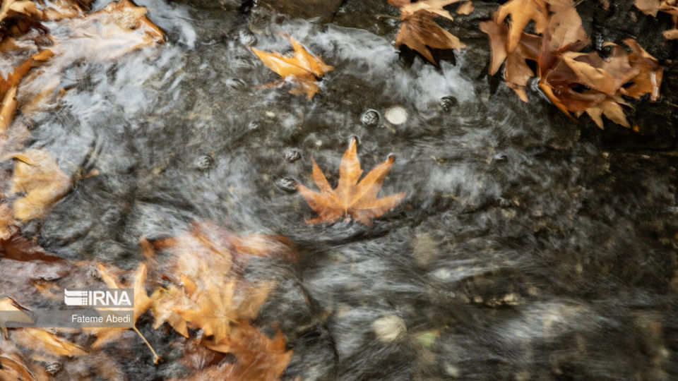 تهران؛ پاییز ۱۴۰۲