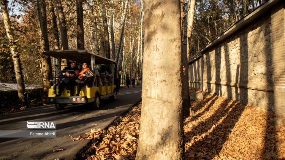 تهران؛ پاییز ۱۴۰۲