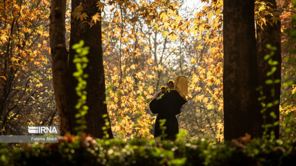 تهران؛ پاییز ۱۴۰۲