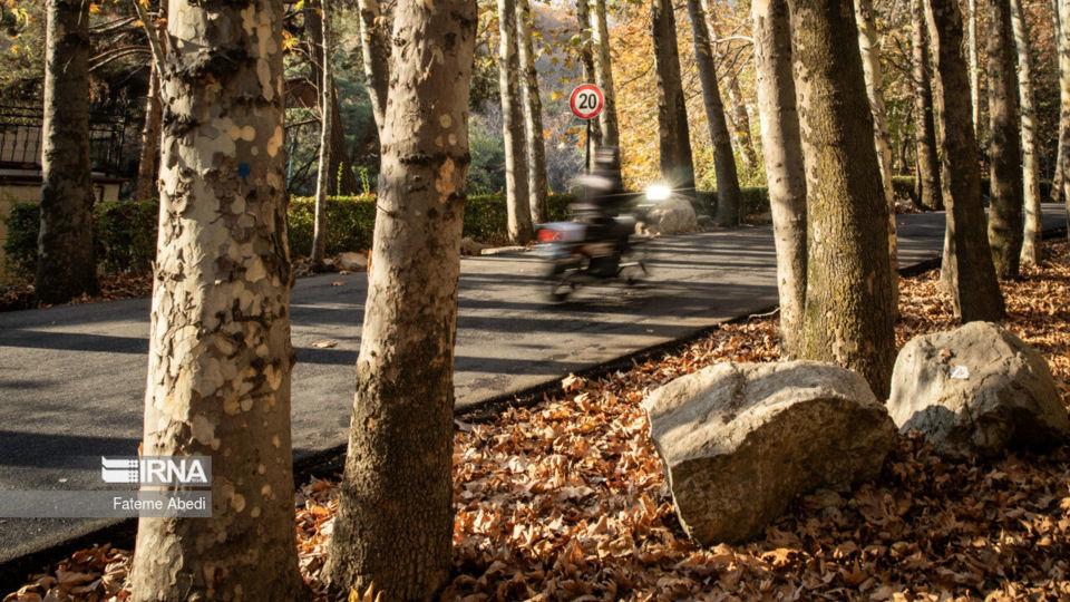 تهران؛ پاییز ۱۴۰۲