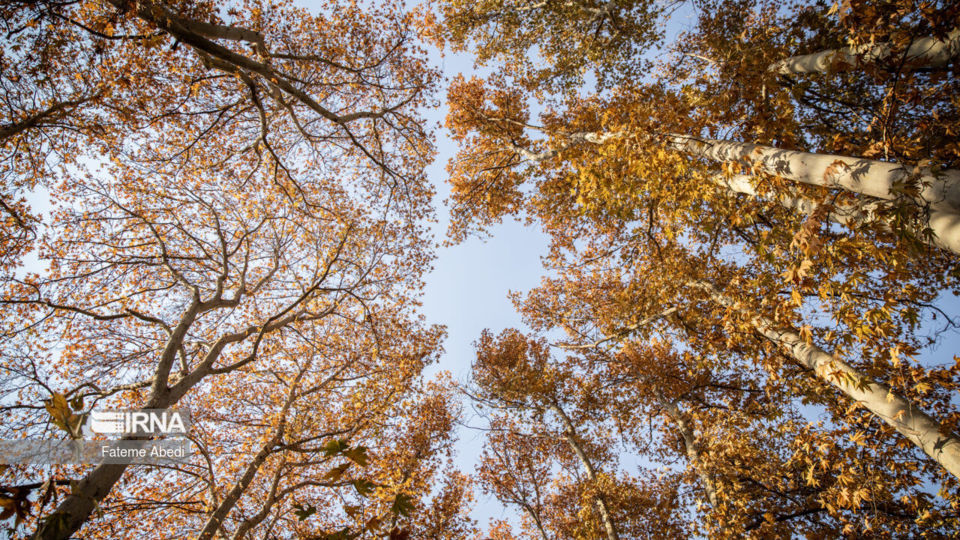 تهران؛ پاییز ۱۴۰۲