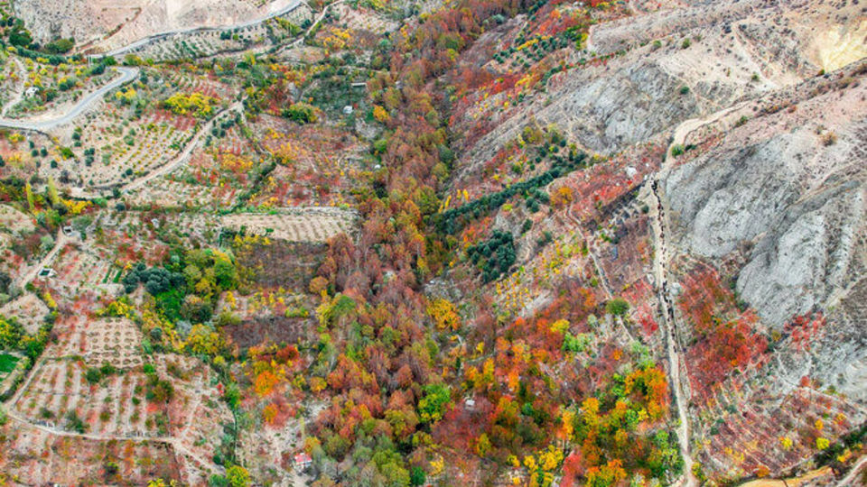 پاییز هزار رنگ در روستای «شیت»