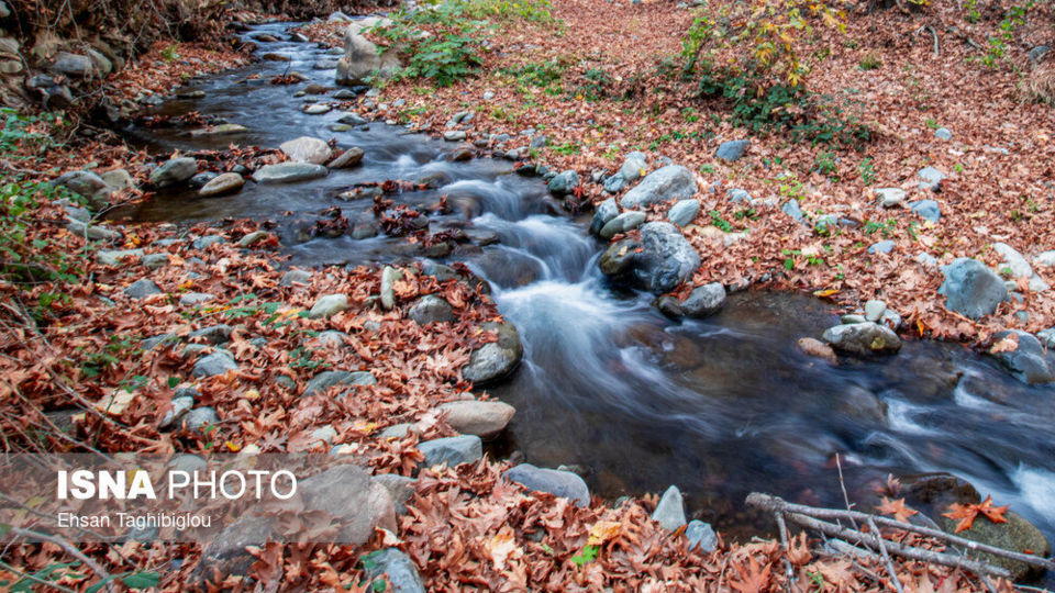 پاییز هزار رنگ در روستای «شیت»