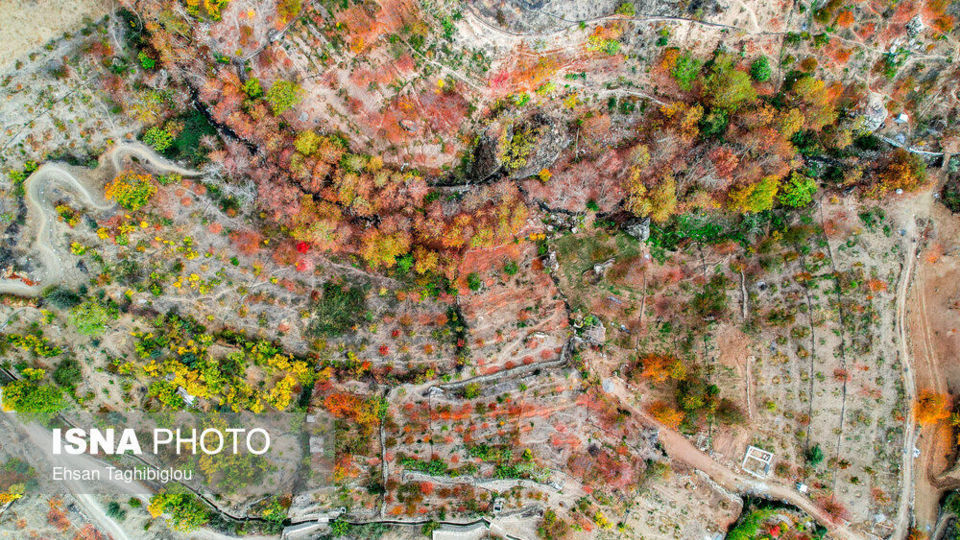 پاییز هزار رنگ در روستای «شیت»