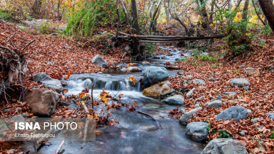 پاییز هزار رنگ در روستای «شیت»