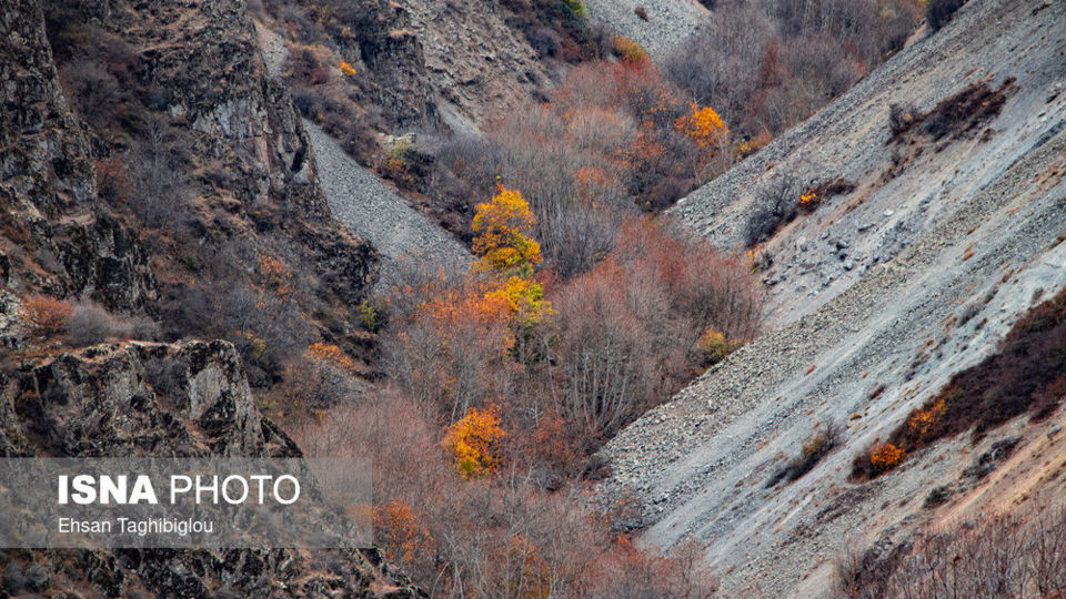پاییز هزار رنگ در روستای «شیت»