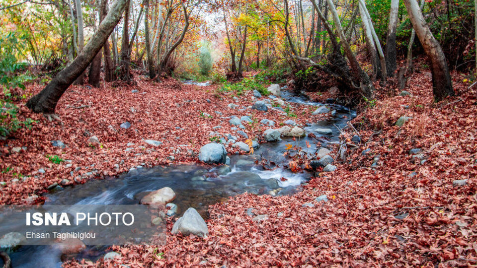 پاییز هزار رنگ در روستای «شیت»