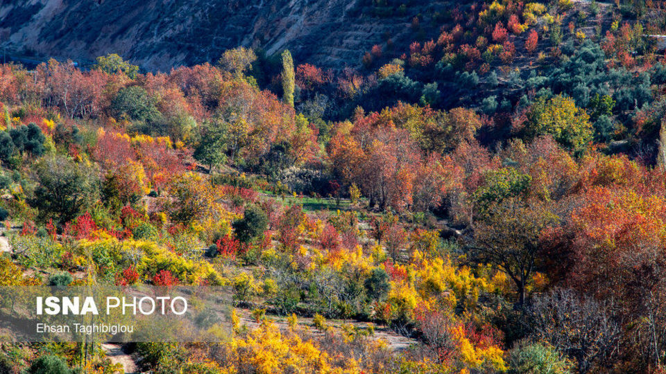 پاییز هزار رنگ در روستای «شیت»