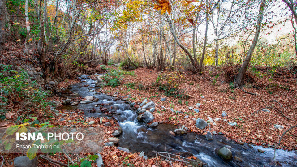 پاییز هزار رنگ در روستای «شیت»