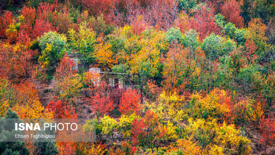 پاییز هزار رنگ در روستای «شیت»