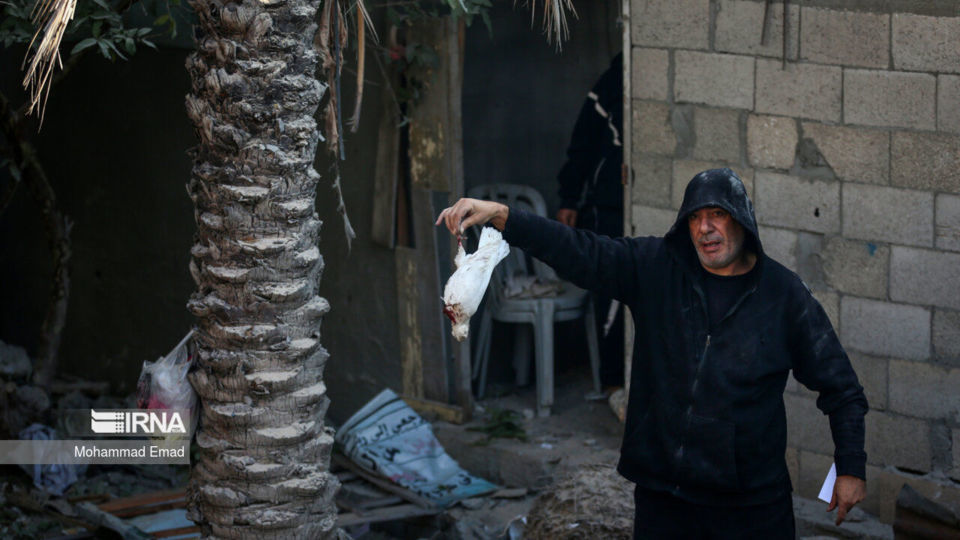 کوچ مجدد مردم غره به مناطق امن تر