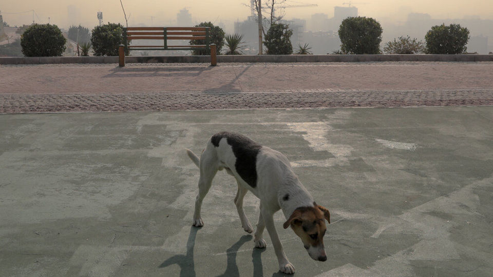 تهرانِ آلوده