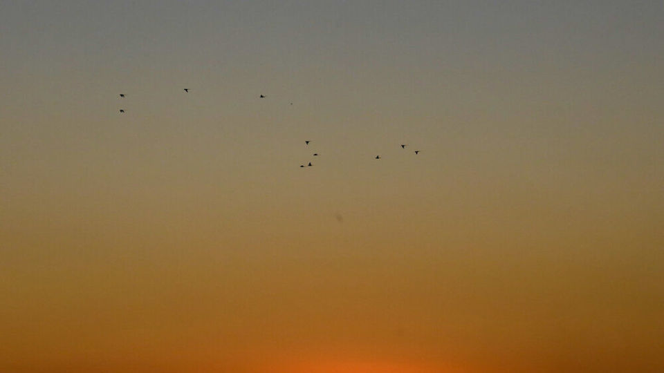 تهرانِ آلوده