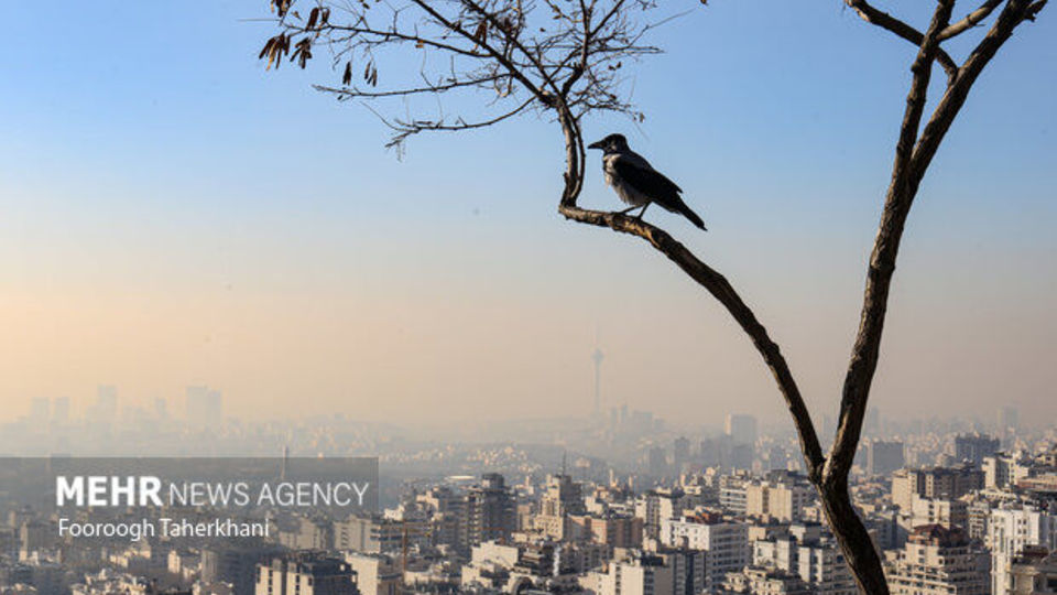 ردپای طلاهای کثیف در تشدید آلودگی هوای تهران