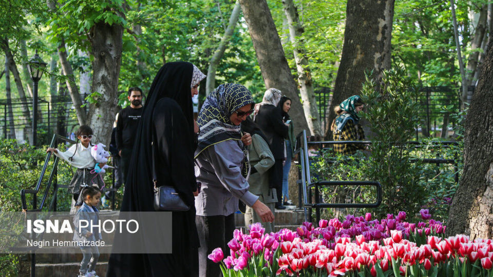 فصل لاله ها در باغ ایرانی