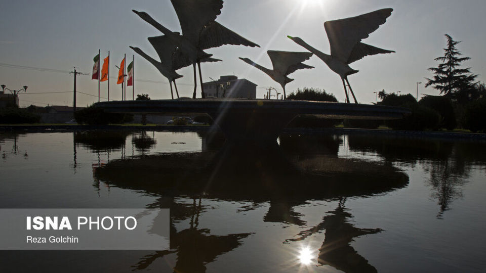 پرندگان مهاجر دریای خزر