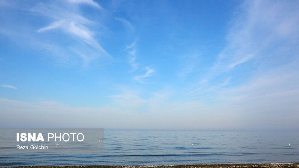 پرندگان مهاجر دریای خزر