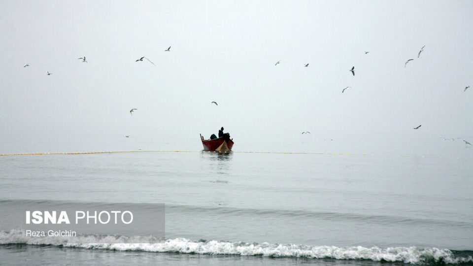 پرندگان مهاجر دریای خزر