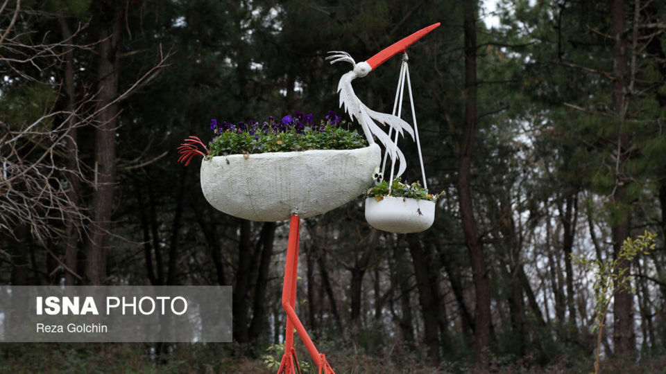 پرندگان مهاجر دریای خزر