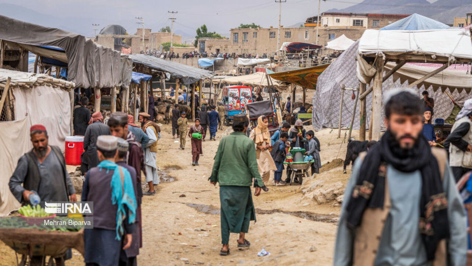 بازار دام کابل در آستانه عید قربان