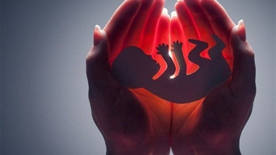 "سقط جنین" قبل از ۴ماهگی هم "قتل نفس" محسوب میشود "سقط جنین" قبل از ۴ماهگی هم "قتل نفس" محسوب میشود