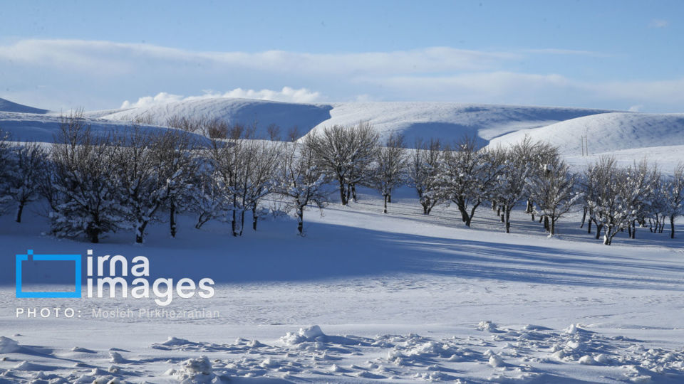 برف و کولاک در کردستان