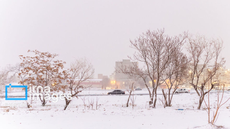 تن‌پوش سفید زمستان بر تن تبریز