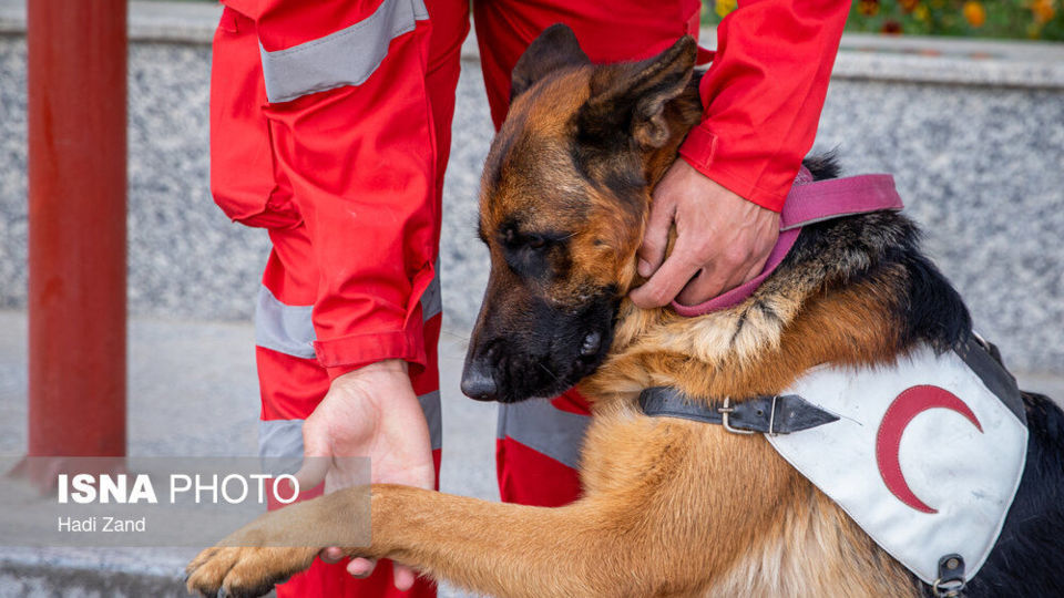 مانور سازمان امداد و نجات و مدیرت بحران
