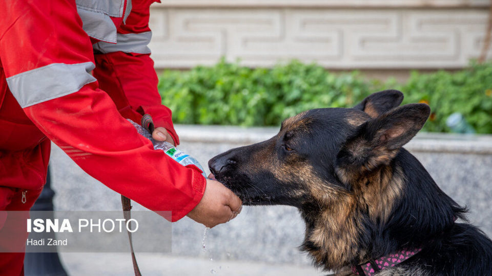 مانور سازمان امداد و نجات و مدیرت بحران