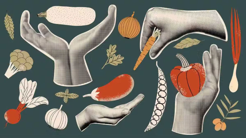 ۱۵ میوه و سبزیجاتی که اغلب میخورید ولی نمیدانستید ساخته دست بشر هستند ۱۵ میوه و سبزیجاتی که اغلب میخورید ولی نمیدانستید ساخته دست بشر هستند