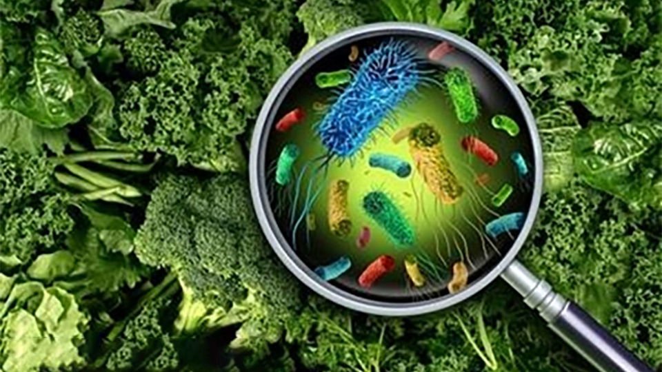 آخرین وضعیت برخی بیماریها در کشور آخرین وضعیت برخی بیماریها در کشور