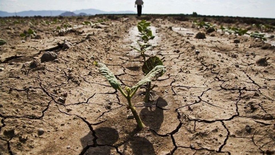 پیشبینی گرمای سال ۲۱۰۰، الآن در حال تحقق است/ تبخیر سالی یک متر از ارتفاع آب دریاچه ارومیه پیشبینی گرمای سال ۲۱۰۰، الآن در حال تحقق است/ تبخیر سالی یک متر از ارتفاع آب دریاچه ارومیه