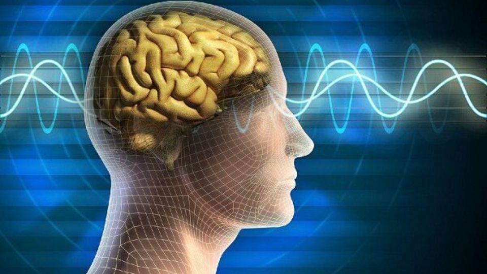 افزایش خطر مرگ و آلزایمر در افراد با مغزهای پیر افزایش خطر مرگ و آلزایمر در افراد با مغزهای پیر