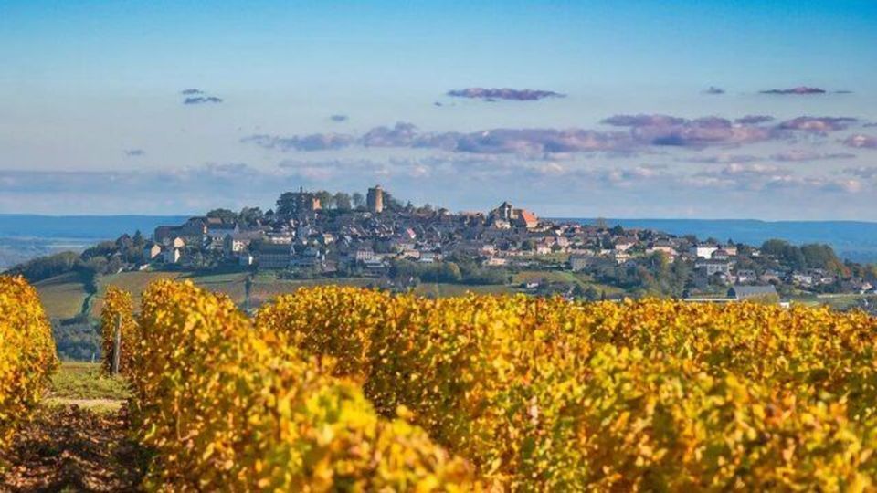 راز موفقیت فرانسه راز موفقیت فرانسه