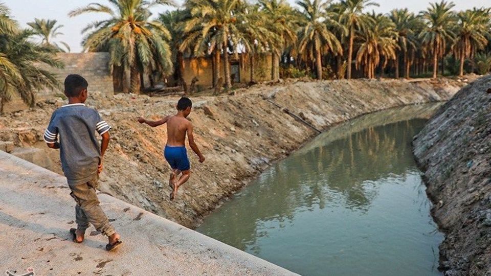 بازگشت زندگی به نخلستان‌های خوزستان