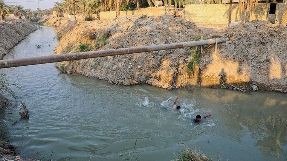 بازگشت زندگی به نخلستان‌های خوزستان