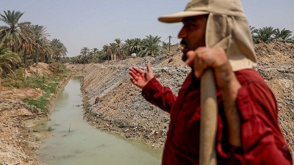 بازگشت زندگی به نخلستان‌های خوزستان