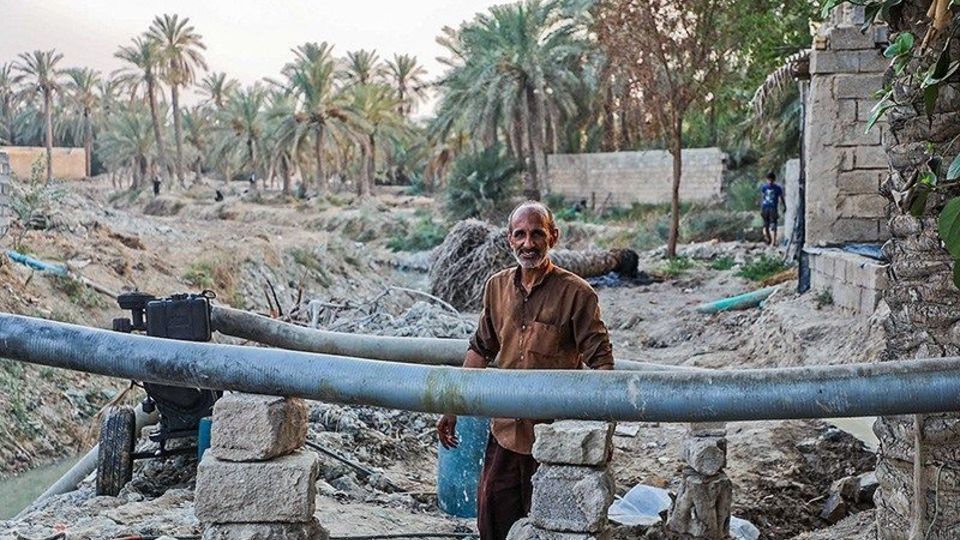 بازگشت زندگی به نخلستان‌های خوزستان